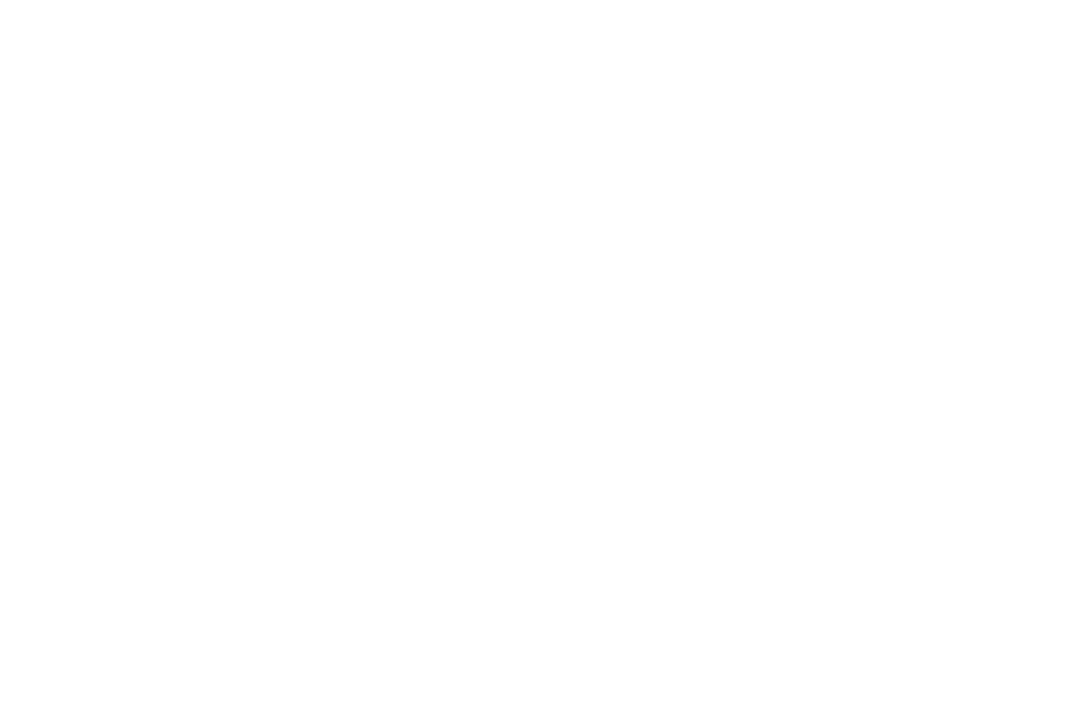 Optic Capital